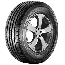 Pneu Goodyear Efficientgrip Suv 235/55 R17 99v
